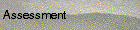 Assessment
